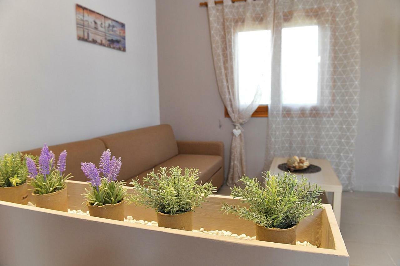 Elaionas Apt. Psakoudia Exteriér fotografie
